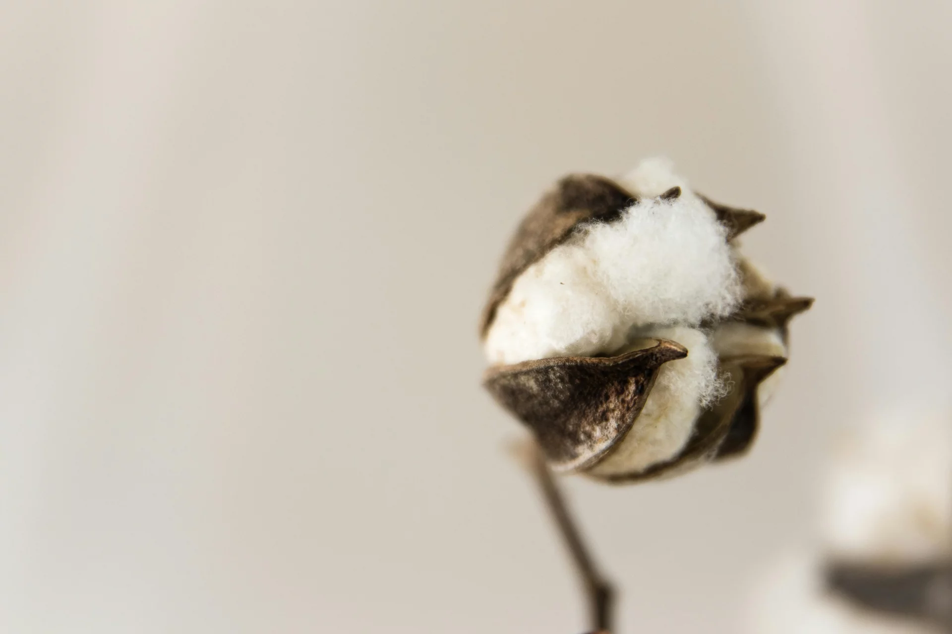 Equilibrio della microflora dell'ambiente interno