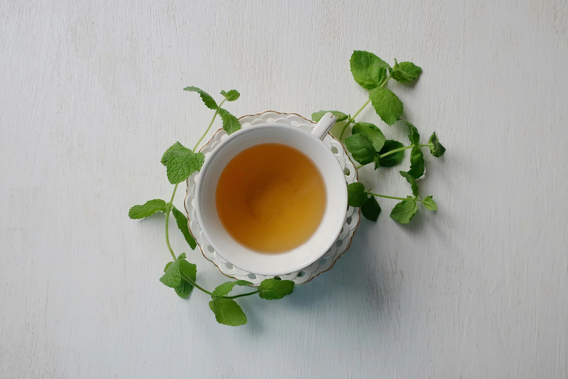 Extraits botaniques frais dans de l'eau pure